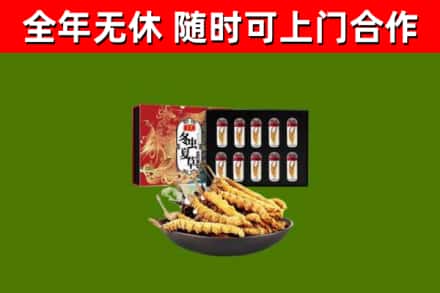 济源市回收冬虫夏草价格