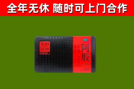 济源市回收阿胶